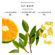 BIBLIOTHEQUE Парфумована вода Icy wave 100 мл